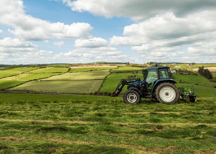 Home Farm: greening up though streams dry