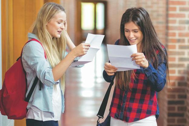 Alternative career pathways: options beyond the CAO route
