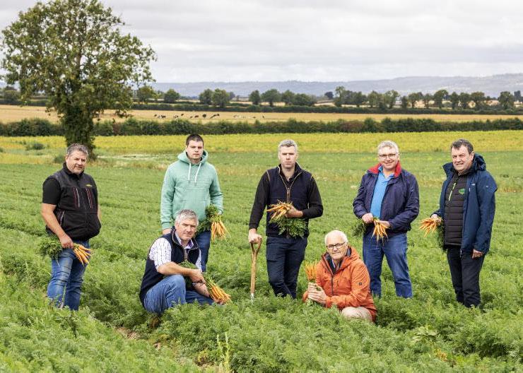 Just 6c more per carrot could save the sector