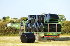 ICSA calls for fodder transport and catch crop schemes