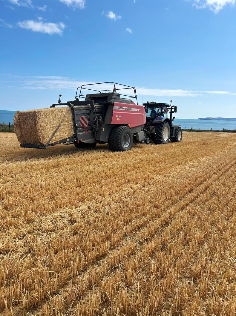 Cutting beans and planting oilseed rape