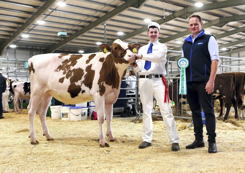 Tirlán stretches ahead at top of NI milk league