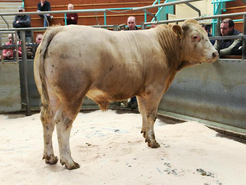 Farm incomes surpass £1bn for first time
