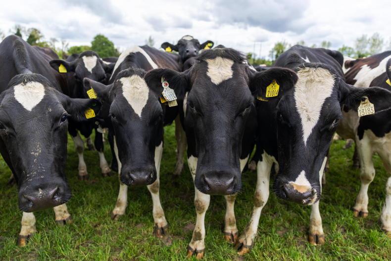 Letters: 'Disillusioned supplier to Leprino Foods'