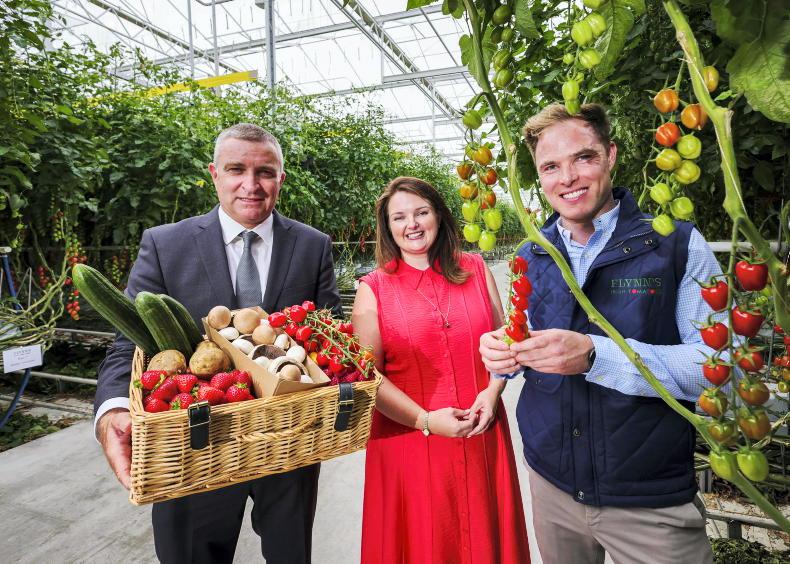 ‘Everything under review’ for fodder scheme - Collins