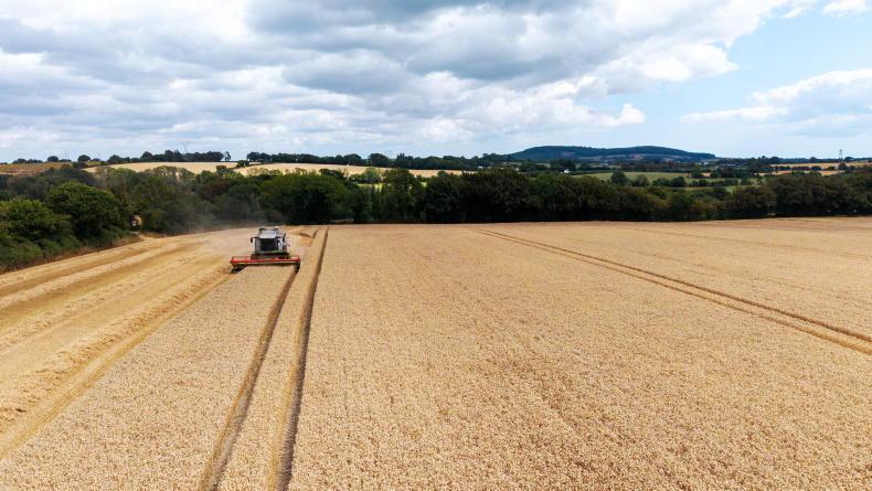 Editorial: cereal harvest yields revealed