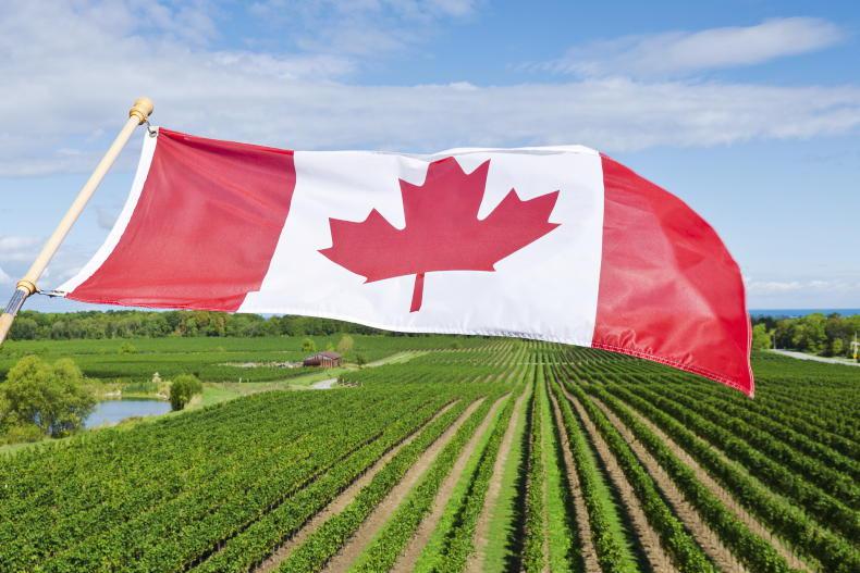 Could Canada chase EU membership?