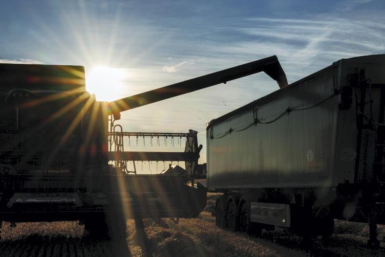 Grain Trends: prices up to highest in a month