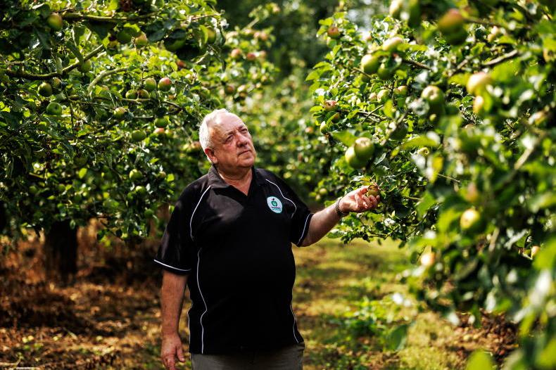 Macha’s Orchard: harnessing the sweet power of the apple peel 