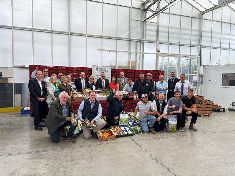 'Retailers want supply, they don't want empty shelves' as drought hits growers