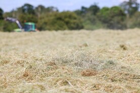 Significant fodder shortages on 42% of dairy farms