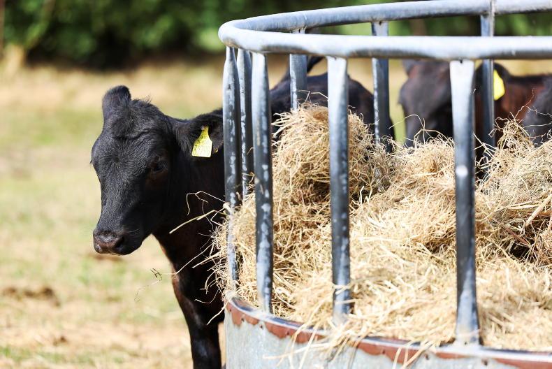 No spare fodder in west