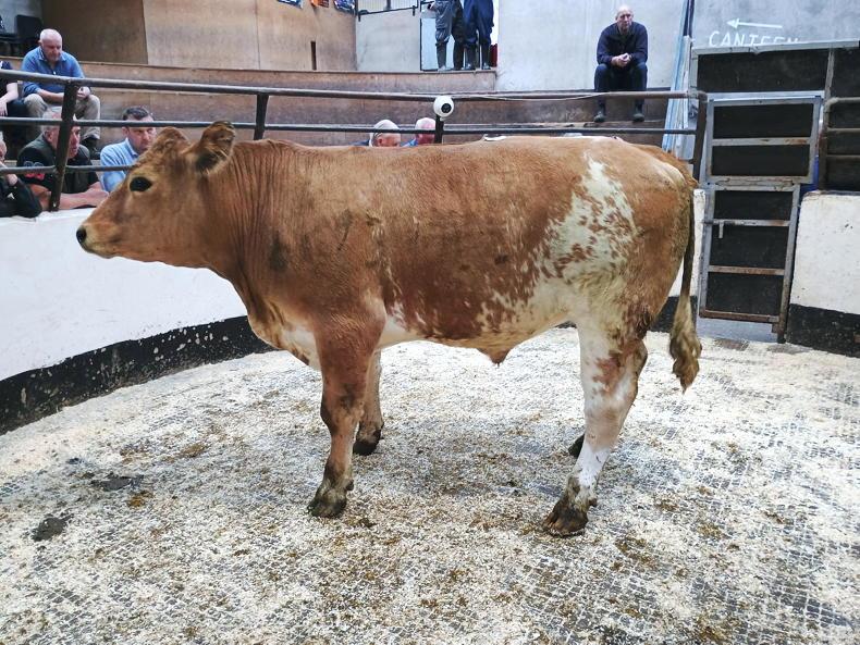 Beef carcase weights at 10-year high in NI