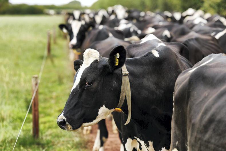 Dairy Management: adapting quickly to autumn conditions