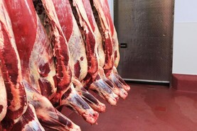 More bite in this week’s beef trade