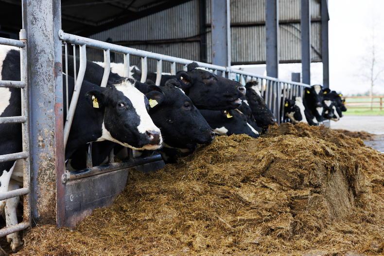 Housing cows in September - is it worth considering?