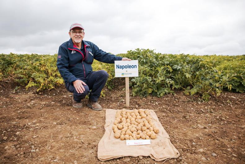 Tillage Podcast: harvest estimates, potato management and imported oats