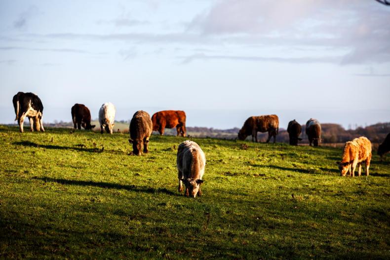 Weekend weather: rain approaching, with temperatures to remain in high teens