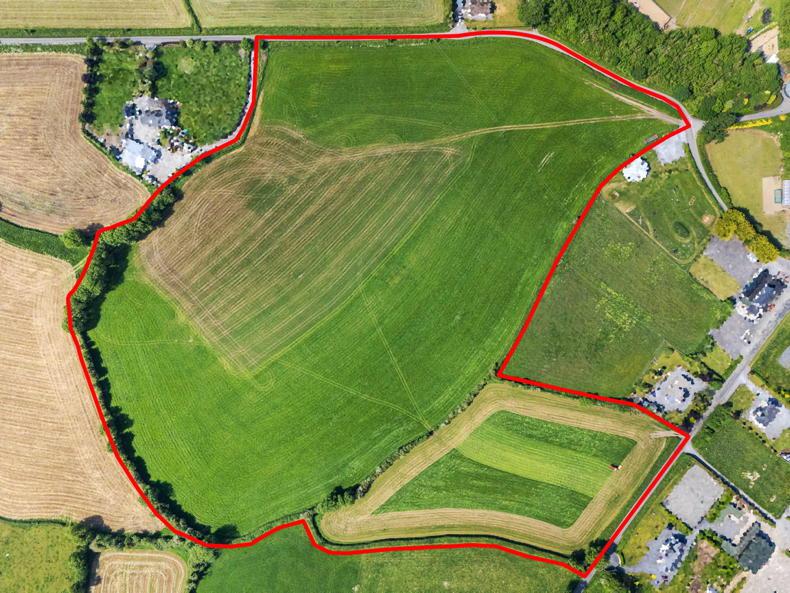 Westmeath land sells for 30% more than county average at auction