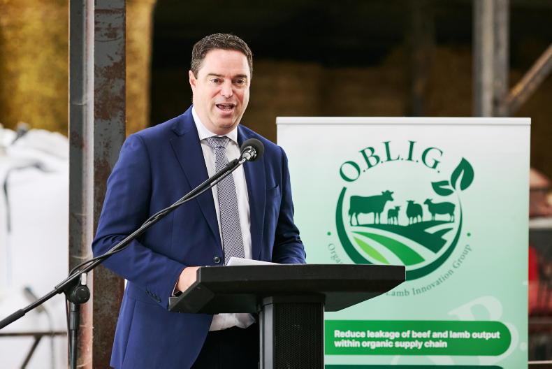 Minister not looking at budget cuts for 2027