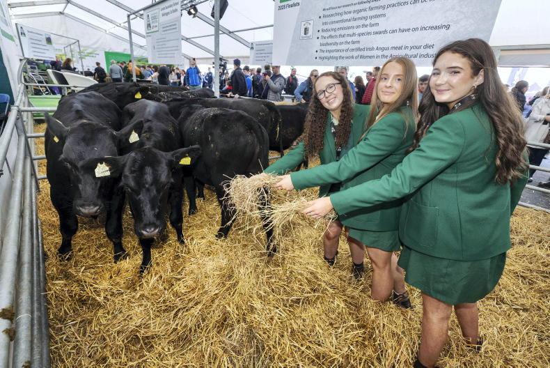 Five schools to take home Angus calves from Ploughing 2026