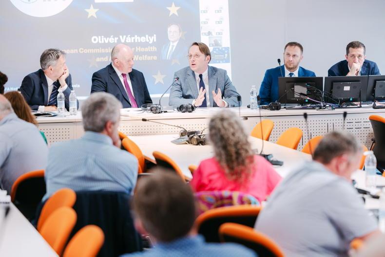 EU's ban on Brazilian beef and poultry takes effect