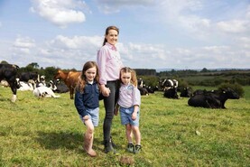 Year of the Woman Farmer: ‘women often the unsung heroes on Irish farms’