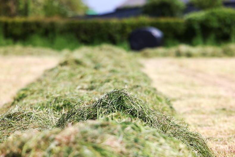 ICMSA matching farmers with fodder to those looking for supplies
