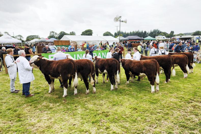 Dualla Show postponed due to high rainfall
