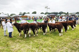 Dualla Show postponed due to high rainfall