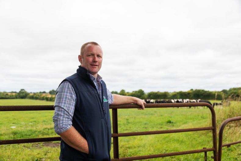 'Wildly erratic and unpredictable' farm incomes must be addressed - ICMSA