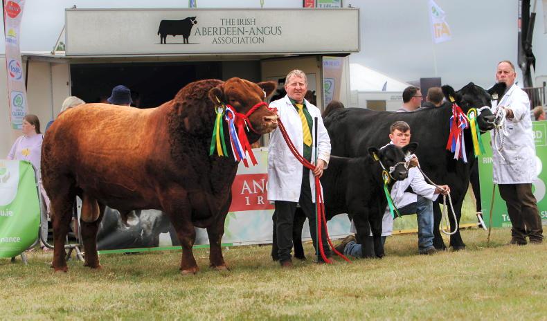 Lisduff sale includes two national champions