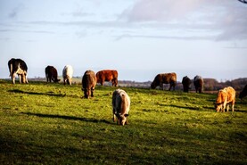 Nine in 10 believe Irish farmers deserve more recognition