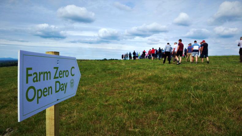 Profit surged at Shinagh in 2025