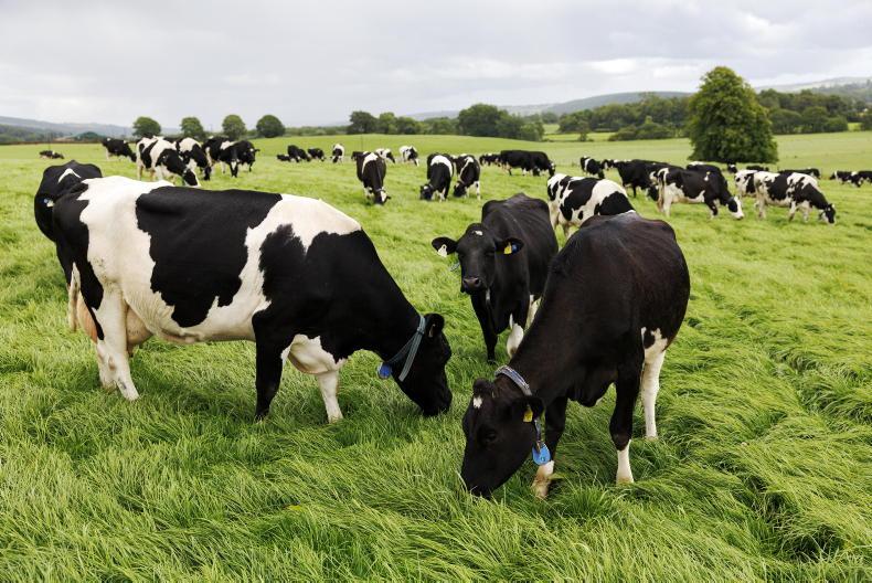 Dairy Management: adapting quickly to autumn conditions