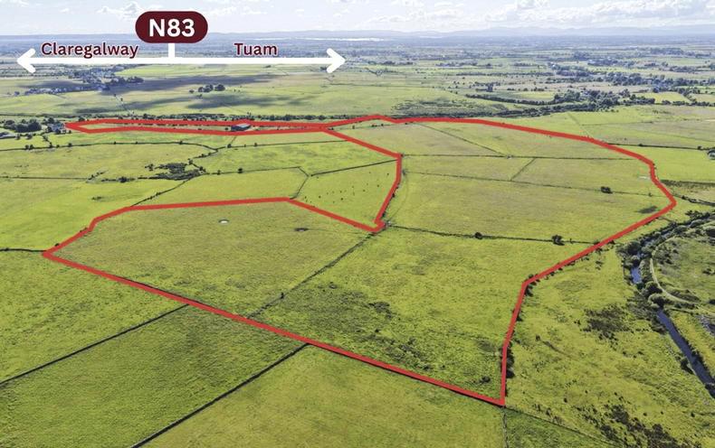 Stone walls and the grass is green with 84ac of potential