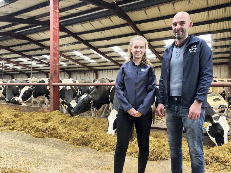 Genotyping available in new NI cattle scheme