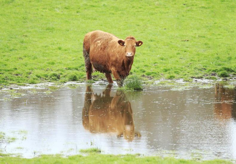 The wettest drought in history