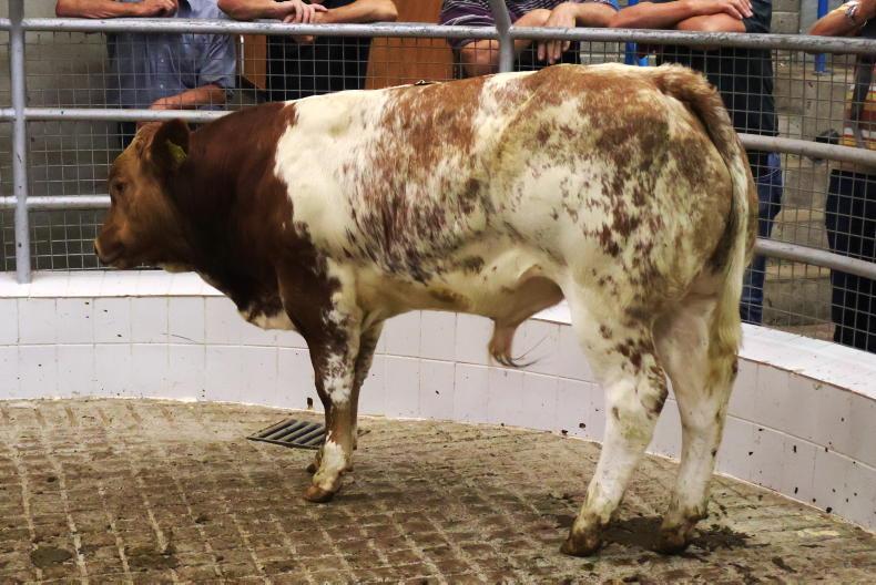 MartBids Database: tiny price difference between stores and weanlings