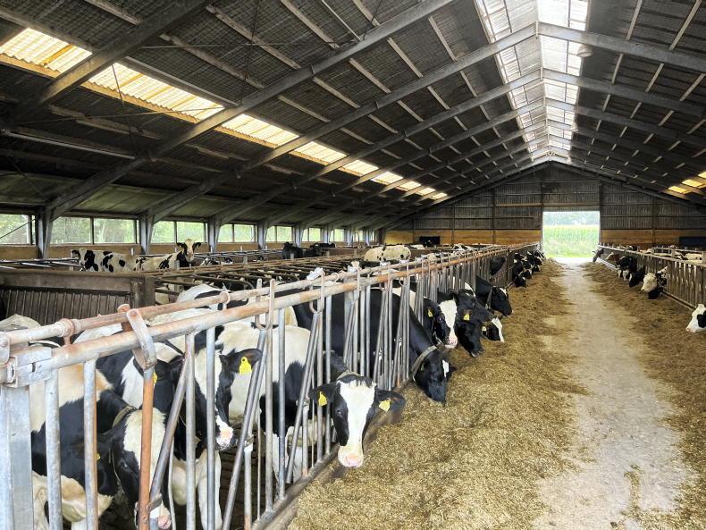 Danish farmers protest tougher nitrogen rules 