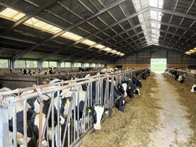 Danish farmers protest tougher nitrogen rules 