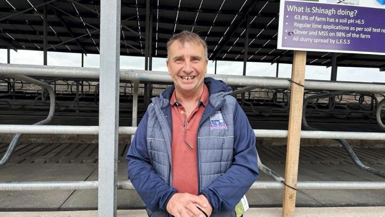 'Three or four bales a day for six weeks' - the cost of Cork's dry spell