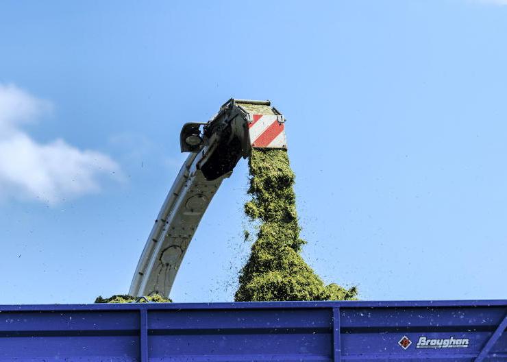 IFA and ICMSA question bioeconomy report's relevance