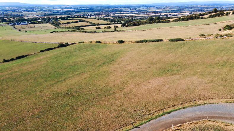 Editorial: drought gone but fodder issues remain