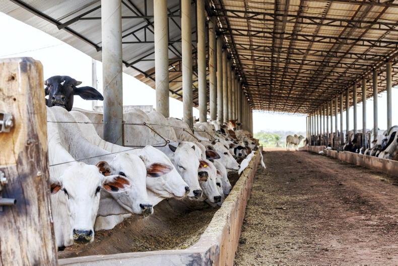 UK wants ‘assurance’ on Brazilian imports