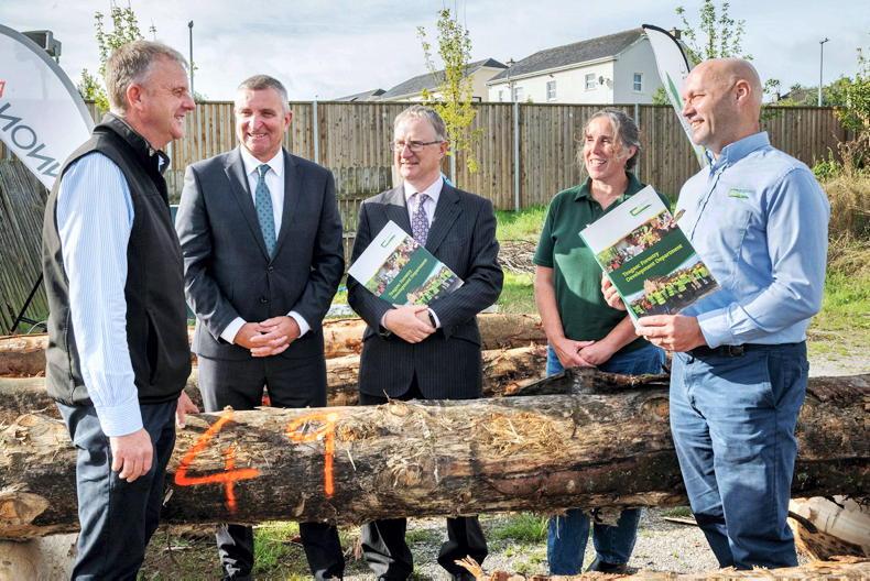 Forest owners urged to plan early to maximise timber value