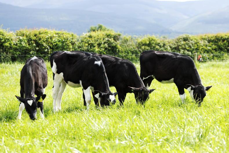 World Without Cows screening    