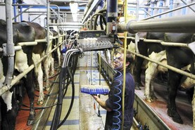 Managing somatic cell count this autumn
