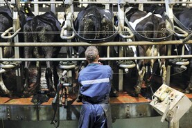 Flexible milking on dairy farms: the benefits and trade-offs