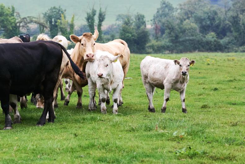 Organic farming proving to be a resilient system in Meath 